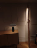 Wallsend dene lamp 002