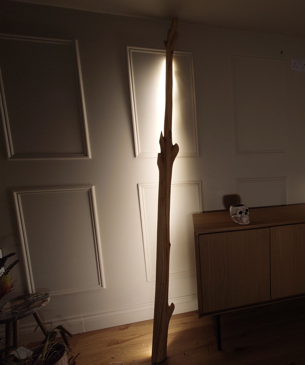 Wallsend dene lamp 002